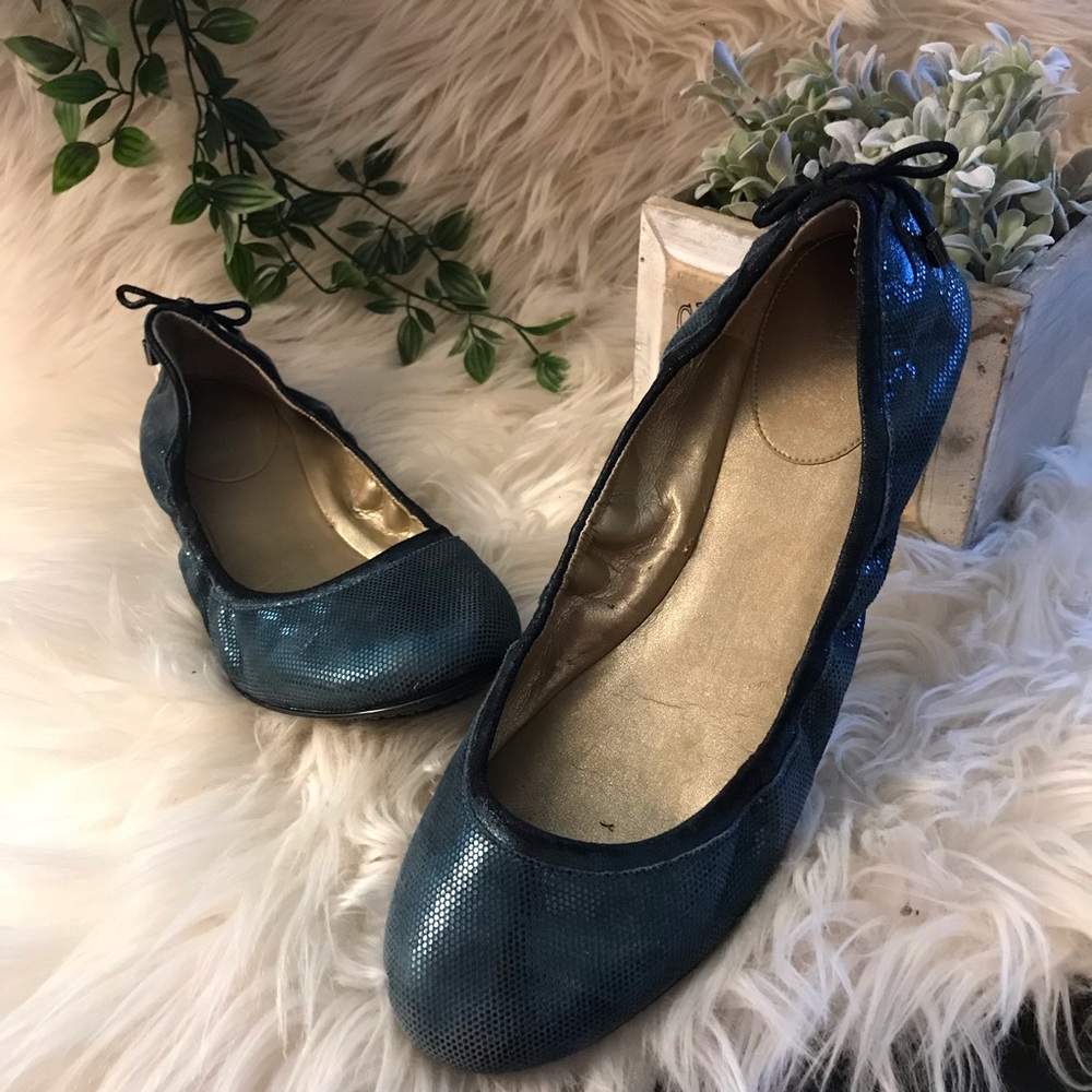 Cole Haan Maria Sharapova Nike Air Ballet Flats